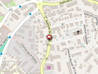 Carte de Fabrice Schulz à Nice