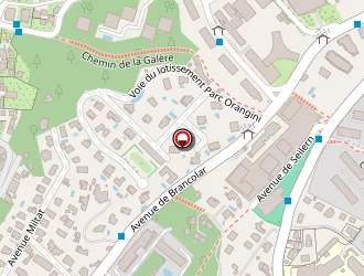 Carte de Silvestrelli Romain à Nice