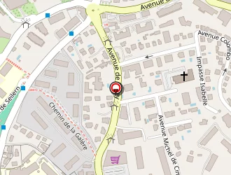 Carte de Vartolomei Sorin à Nice