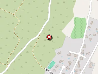 Carte de Ps Cars à Guzargues