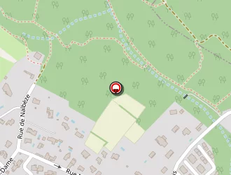 Carte de Collodel Benjamin à Bruguières