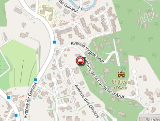 Carte de Pillard Eric à Nice