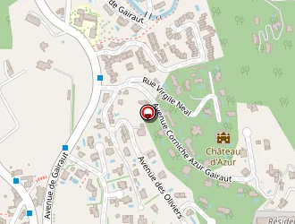 Carte de Raffaelli Ferdinand à Nice