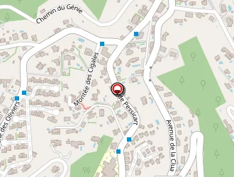 Carte de Vari Franck à Nice