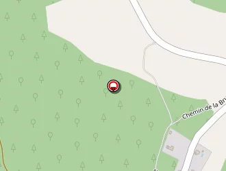 Carte de Peguy Jean-michel à Saint-privat