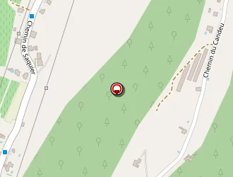 Carte de Chiapponi Thierry à Nice