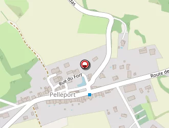 Carte de Caubet André à Pelleport