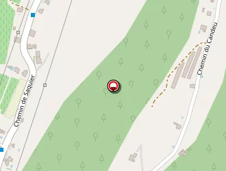 Carte de Bacherini Sébastien à Nice