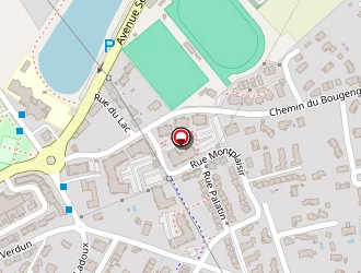 Carte de Philippe Fabienne à Saint-jory