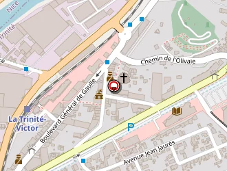 Carte de Jacomino Structures Evenements Service à Trinité (la)