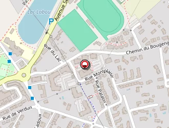 Carte de Loisirs Spectacles 31 à Saint-jory