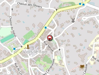 Carte de Scm Cabinet Kinésithérapie à Viols-le-fort