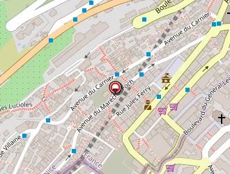 Carte de Thai Garden à Beausoleil