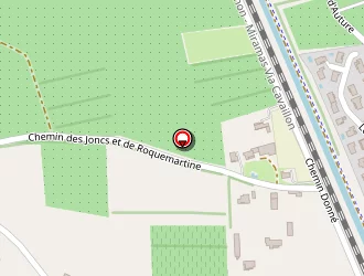 Carte de Sanchez Nadine à Sénas