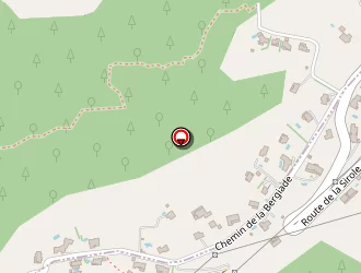 Carte de Viudes Gérard à Nice