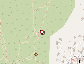 Carte de Raizin à Falicon