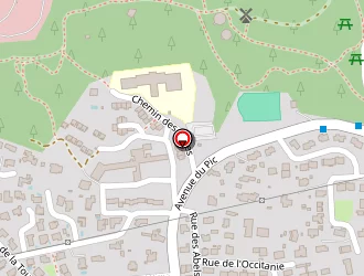 Carte de Zetoni à Vergèze