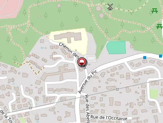 Carte de Tomatis Patricia à Vergèze