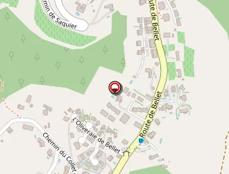 Carte de Palomba Alizée à Nice