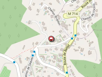 Carte de Martin Lyonnel à Nice