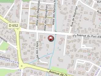 Carte de Fernandes Pina Anibal à Soustons