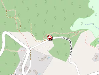 Carte de Elec Gyromitre Gautreau à Saint-jean-de-cuculles