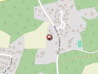 Carte de Lapouyade Olivier à Soustons