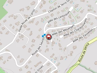 Carte de Ledon Suzanne à Gattières