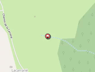 Carte de Multiservices De Lacaze à Lacaze