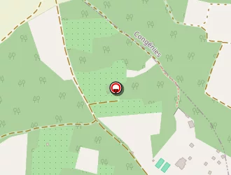 Carte de La Villa Vicha à Aubais