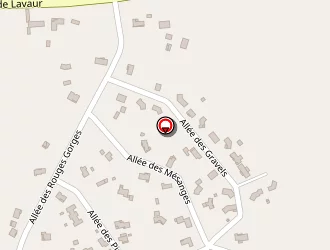 Carte de Fédou Patrick à Saint-gauzens