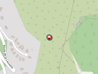 Carte de Roggiolani Jérôme à Cantaron