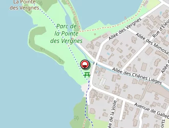 Carte de Louys Vincent à Soustons