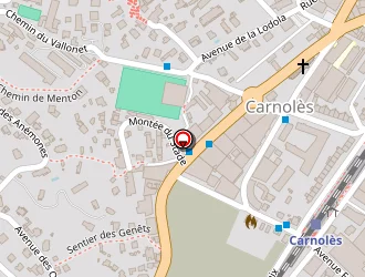 Carte de Entreprise Vallar à Roquebrune-cap-martin