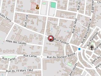 Carte de Prémium Immobilier Renaud Martinet à Graulhet