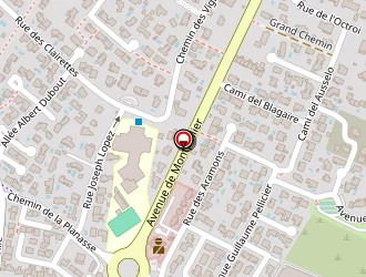 Carte de Dijoux Pascal à Saint-mathieu-de-tréviers