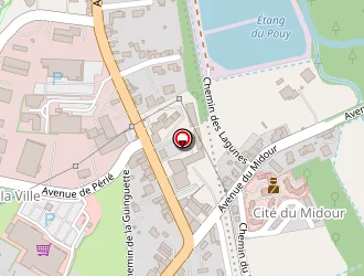 Carte de Carrefour Market à Nogaro