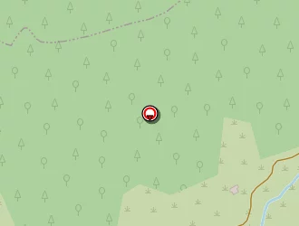 Carte de Midi Marchandises à Saint-privat