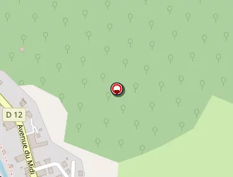 Carte de Jordy Serge à Brusque