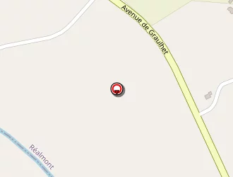 Carte de Amiel Michel à Réalmont