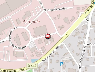 Carte de Linstant Fleur à Garons