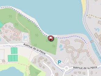 Carte de Skirelis Vaidas à Soustons