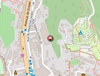 Carte de Massa Pneus à Menton