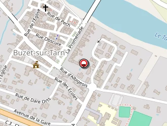 Carte de Mairie à Buzet-sur-tarn