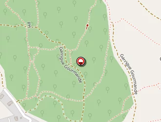 Carte de Soulayrol Joel à Congénies