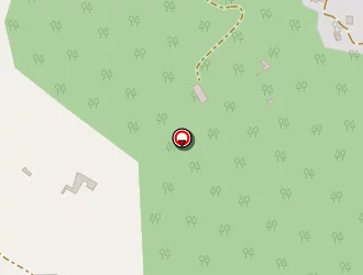 Carte de Pizza Chez Pascal à Blausasc