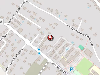 Carte de Fantin Julie à Castelnau-d'estrétefonds