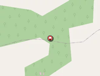 Carte de Moncalvo Roberto à Saint-sever