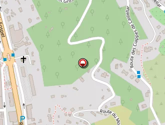 Carte de Pelizzari Jean-yves à Menton