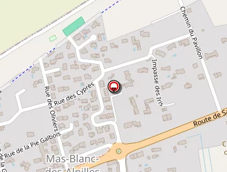 Carte de Bazin Sébastien à Mas-blanc-des-alpilles